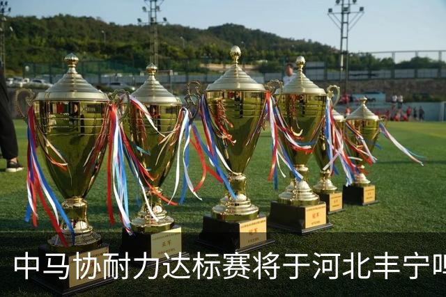中马协耐力达标赛将于河北丰宁鸣枪 数十家专业马术俱乐部角逐