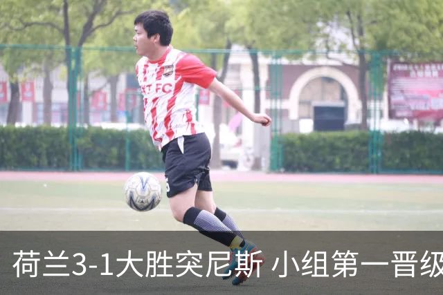 荷兰3-1大胜突尼斯 小组第一晋级淘汰赛将战摩洛哥